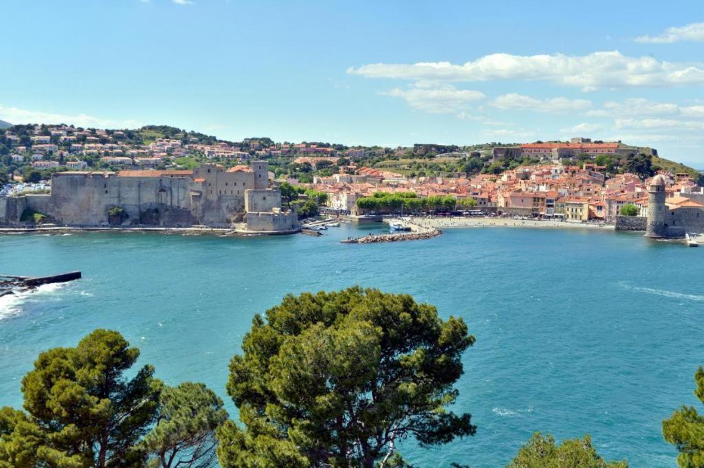 Vue Imprenable - Piscine - Parking Prive - Terrasse - Collioure Daire Dış mekan fotoğraf